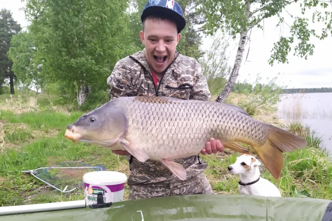 “Why are you frying it, it’s a child!”: a fisherman caught a huge carp from Lake Zheleznogorsk and released it - Fishing, Carp