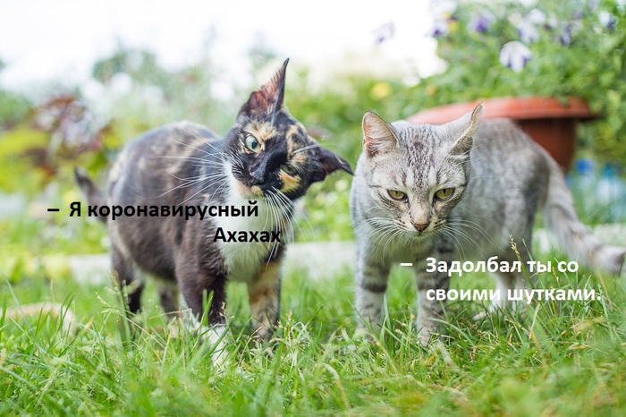 ��� � ������� �� ������