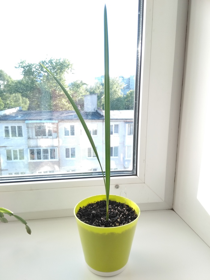 Всегда ищи третьего...