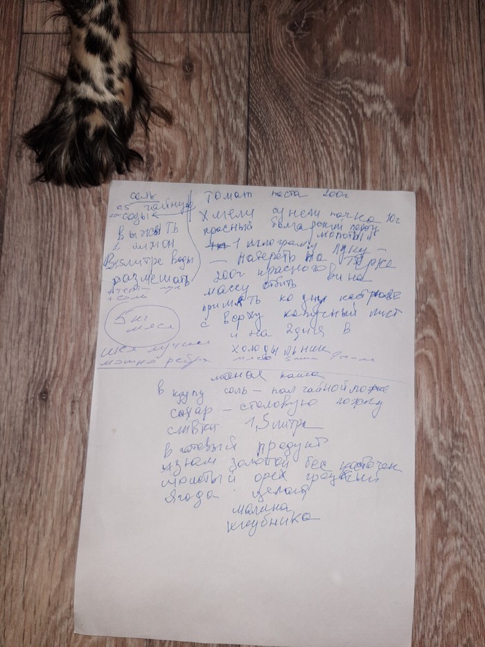 ������ �����������