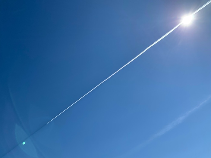 ������������ ����