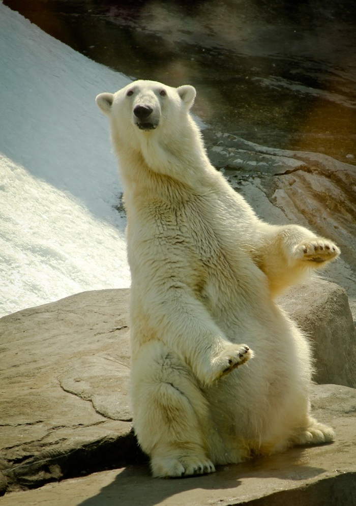 Как обеда не будет?!