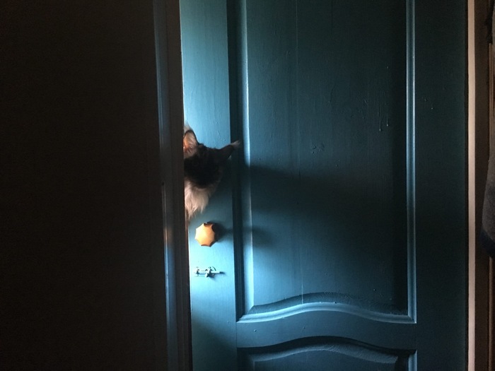 �������������