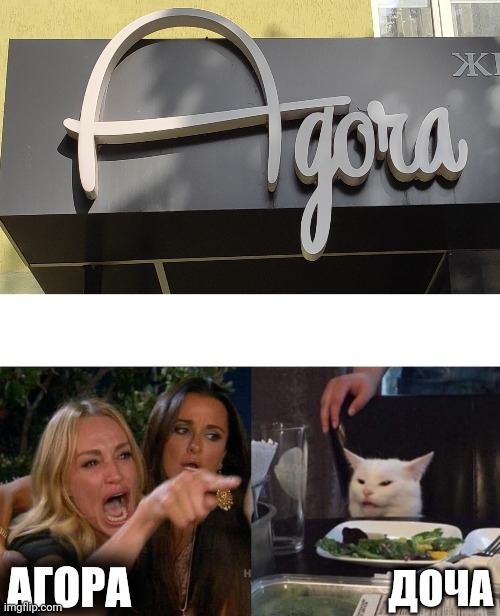 Опять баба орет на кота