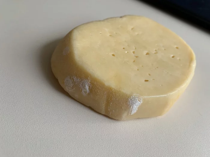 Ecomarket - My, Mold, Cheese