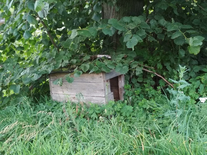 Деревенская Мария Селеста Фотография, Семья, Длиннопост