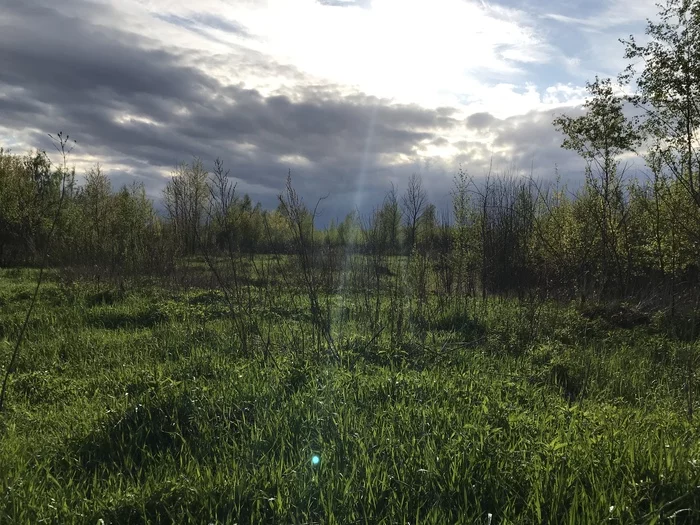 A ray of sunshine hits a drop - My, Nature, The photo