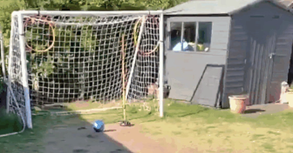 Someone will get noble lyuli today - Sport, Football, Children, Window, Fail, GIF