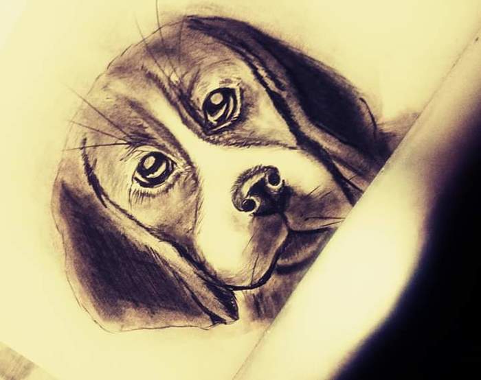 Pencil - My, Sketch, Inspiration, Pencil drawing, Drawing, Dog, Cartoons, Pencil, Longpost