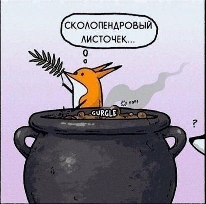 Soup - Corgli & Co, Fox, Comics, Longpost