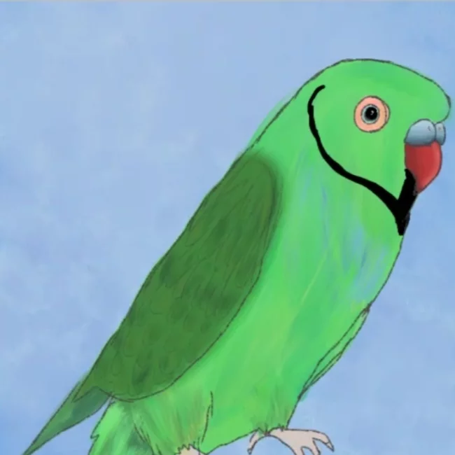 Necklace parrot) - My, A parrot, Drawing, Bad artist, Video