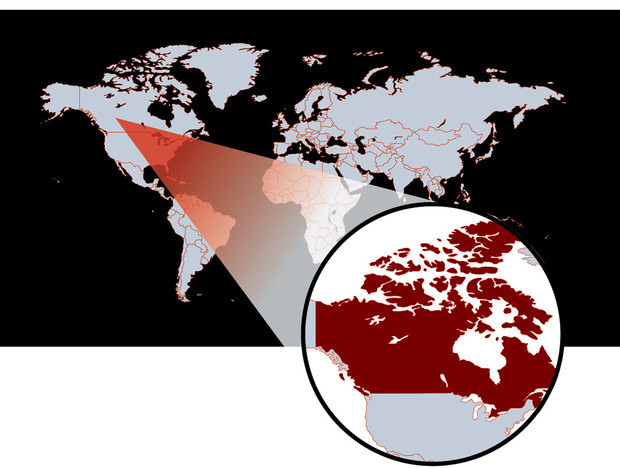 1590080257172330922 для чего нужны щупальца