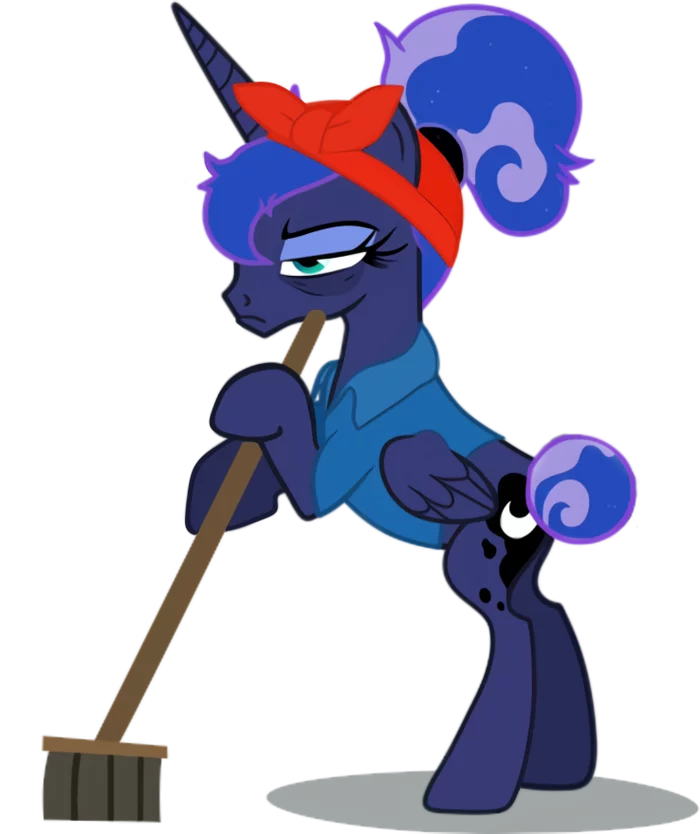 When was the retirement age extended? - My, Princess luna, Sweep, My little pony