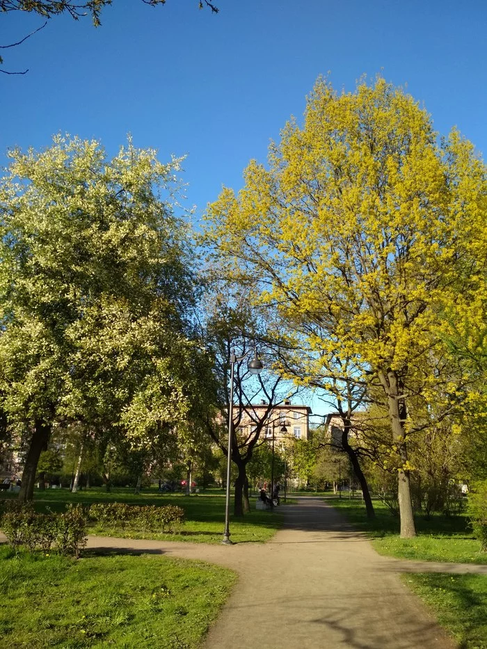 Spring-Autumn 2020 - My, Saint Petersburg, Spring, May