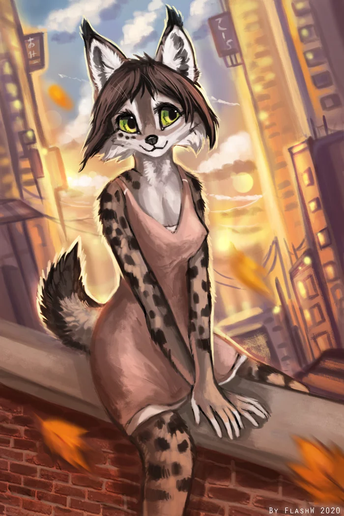 Sunset - Furry, Anthro, Art, Flashw