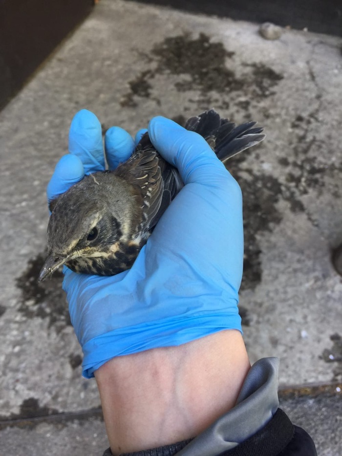 �������� ���������� ����������! ����� ������