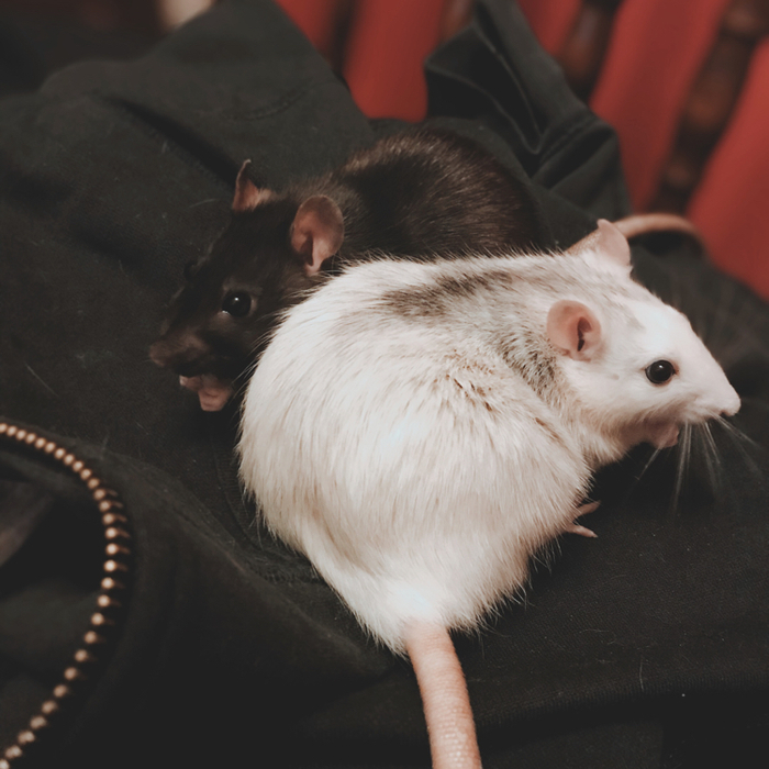 Доброе утро