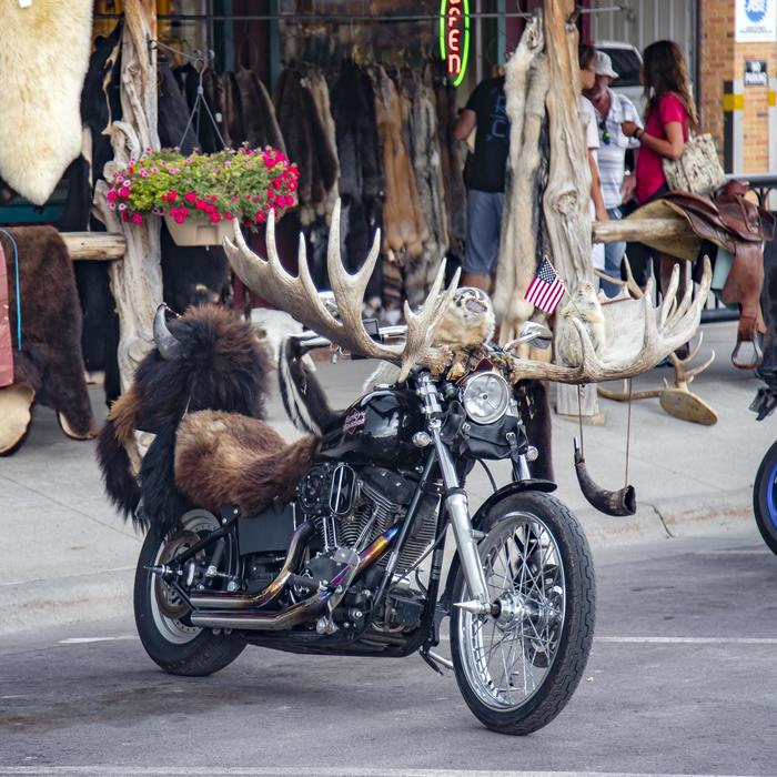 And on the way... - USA, Skin, Horns, Moto