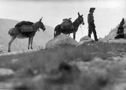 The Legend of Everett Ruess - Survival, Biography, Outdoor, Self-determination, Bushcraft, Comfort zone, Alone away from home, Longpost