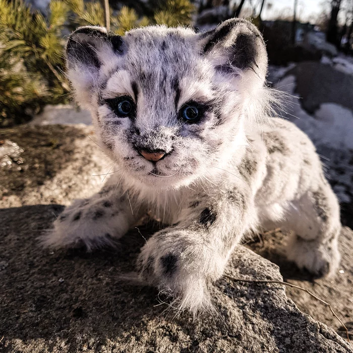 First toy - My, Toys, Soft toy, Needlework without process, Handmade, Snow Leopard, Leopard, Hobby, Longpost