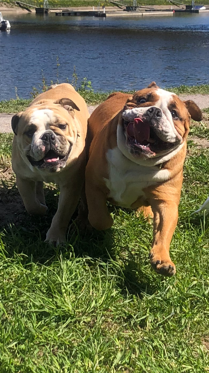 ���� � ��� ���� ����