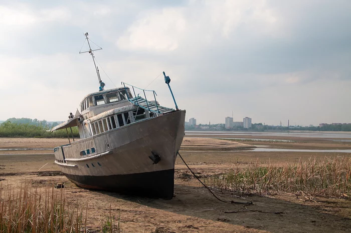 Save the Volga: today or never - Ecology, Volga river, Nature, Water, Longpost