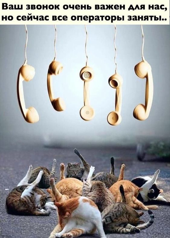 Обычный колл-центр | Пикабу