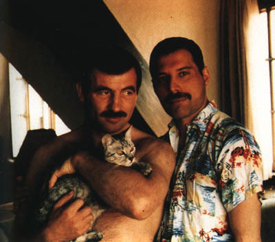 Freddie Mercury's cats - Freddie Mercury, cat, Longpost