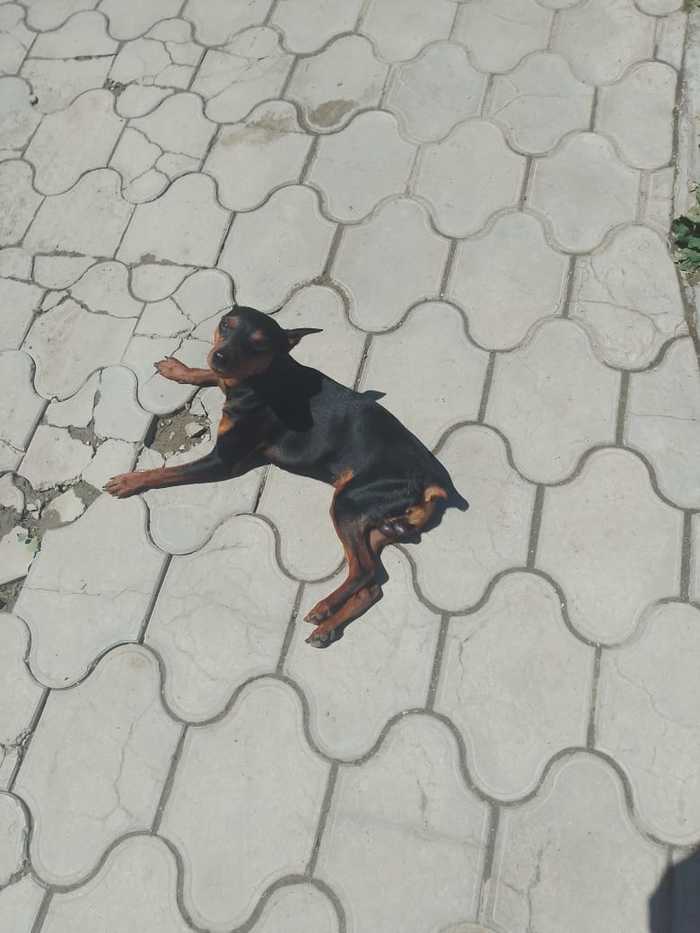      , , 