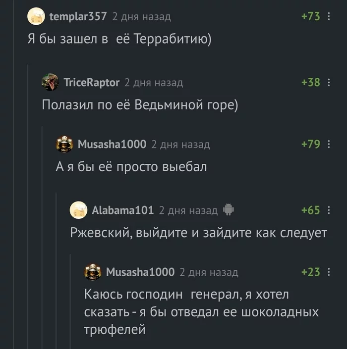 О шоколадных трюфелях - Комментарии на Пикабу, Мост в терабитию