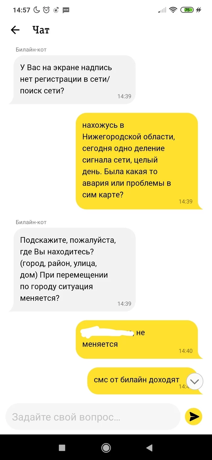 Beeline in the Nizhny Novgorod region and its Support - My, Beeline, cellular, Screenshot, Longpost