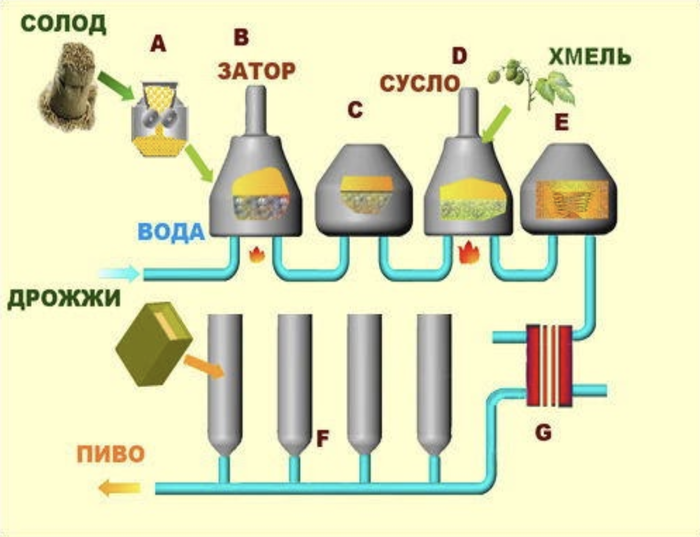 Этапы пивоварения схема