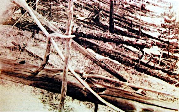 The Tunguska explosion could have been caused by an asteroid that is still orbiting the Sun - My, Nauchpop, Nauchpop, The science, The science, Astronomy, Astronomy, Longpost, Longpost, Tunguska meteorite, Tunguska meteorite, Meteorite, Meteorite