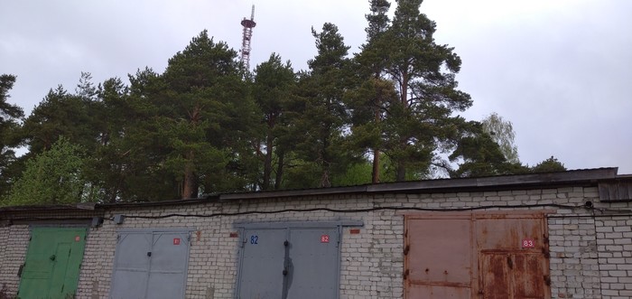 Столкновение природы и человека