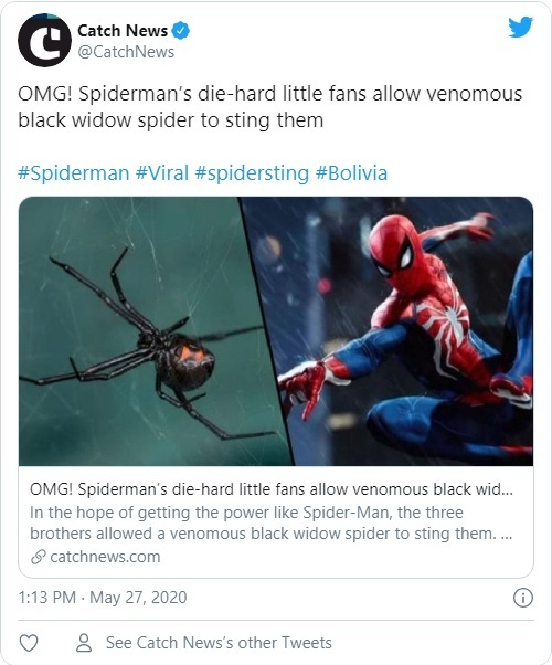 In Bolivia, three children forced a black widow to bite them to gain Spider-Man's powers - Spiderman, Super, Power, news, Bolivia