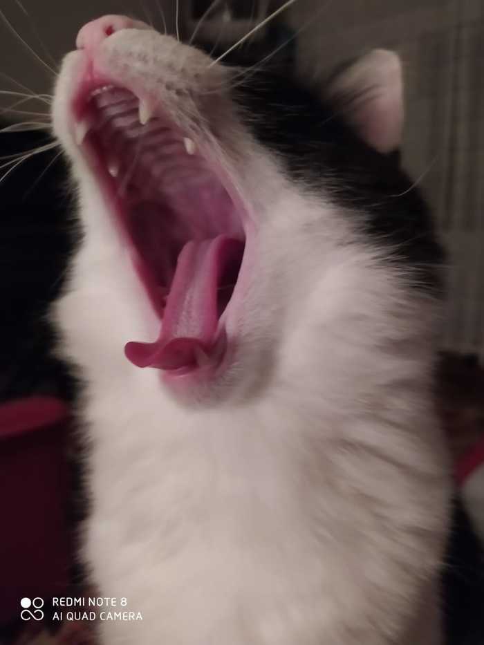      ,  , , 