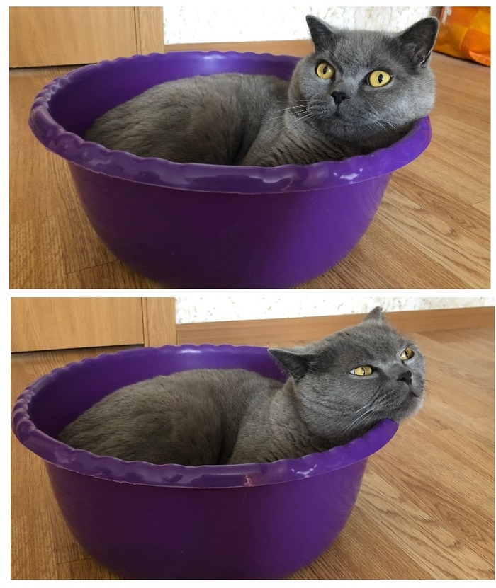 "   ,      ...."))