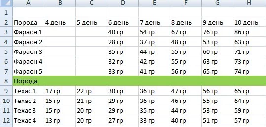 Перепела в квартире 3. Техасцы против Фараонов - Моё, Перепела, Домашние животные, Сельское хозяйство, Уход и содержание, Длиннопост