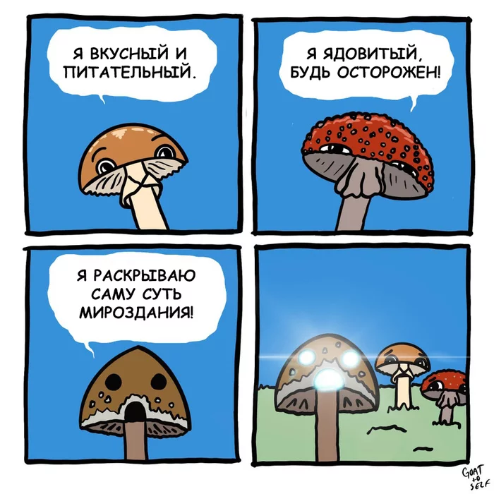 Not all mushrooms are equally healthy - Comics, Translation, Goattoself, Mushrooms, Psilocybin, Hallucinogenic mushrooms