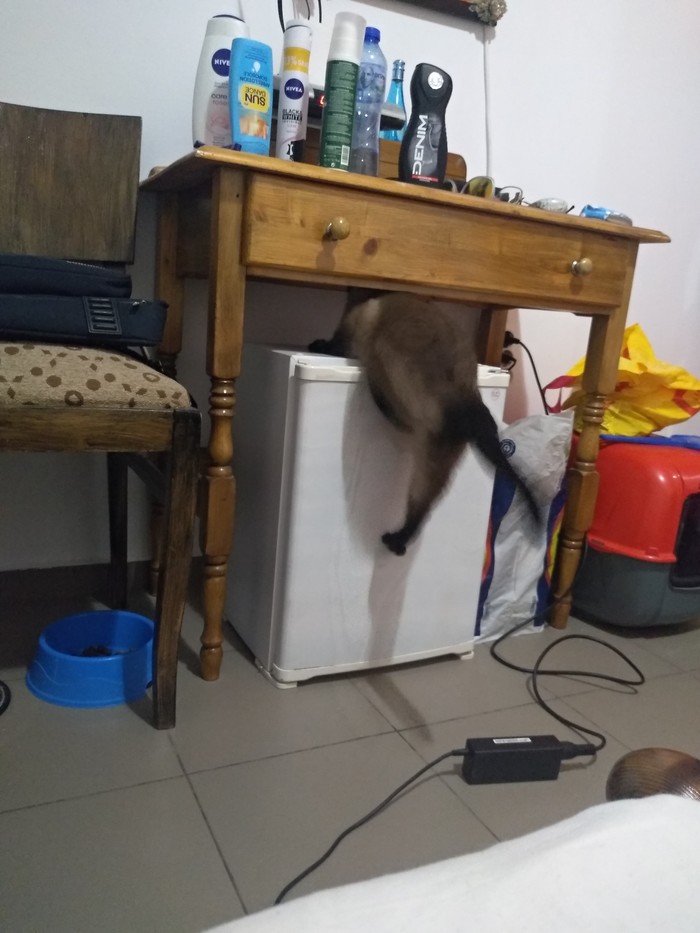 Удачный кадр