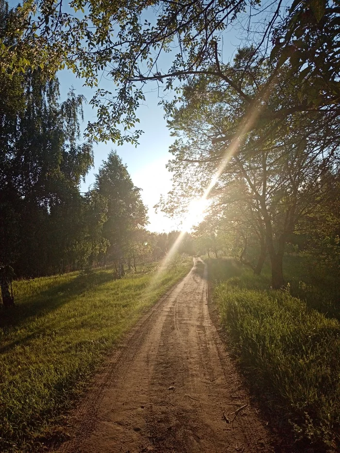 Way home - My, Summer, Nature