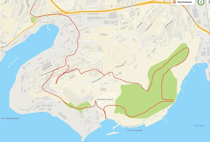 15 km or 18 thousand steps in the Zmeinka district in Vladivostok - My, Vladivostok, The photo, Photographer, Hike, Longpost