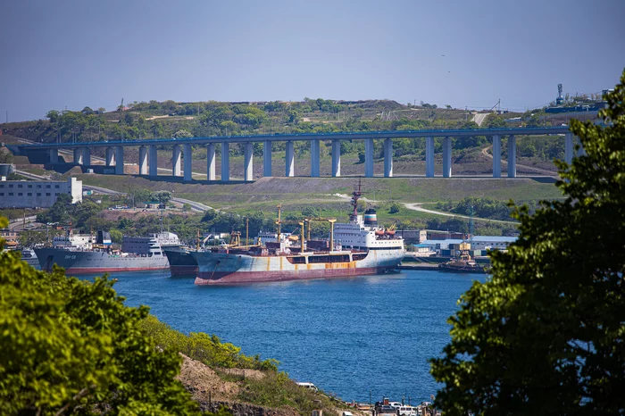15 km or 18 thousand steps in the Zmeinka district in Vladivostok - My, Vladivostok, The photo, Photographer, Hike, Longpost