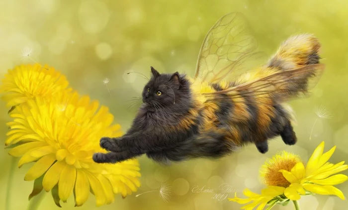 Shmelekot - Photoshop, Art, cat, Bumblebee, Milota, Flowers, Dandelion