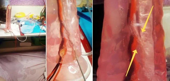 Brewing tea from Schottky's diode or how do you like it, Tony Stark? - NSFW, My, Dildo, LEDs, Water cooling, Mat, TPE, GIF, Video, Longpost, 18+