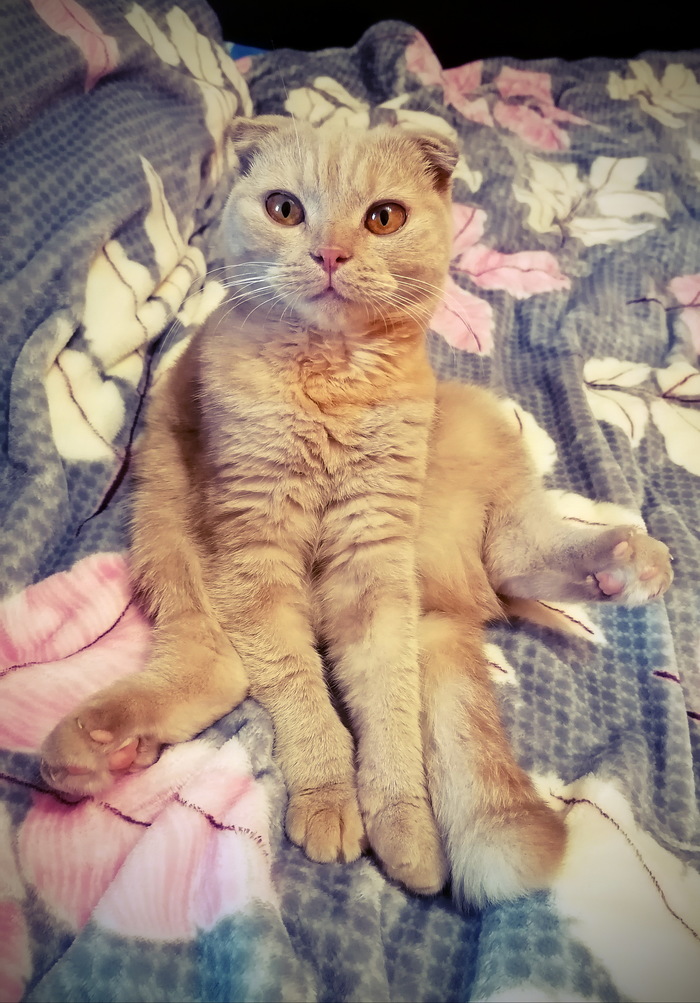 "����� �� �������� �����? ��� �������! ���� ������ ������������ �� �������.�(�) ��� ������