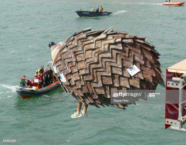 Look how I can do it!!! - Humor, Birds, The festival, Icarus, England, Longpost