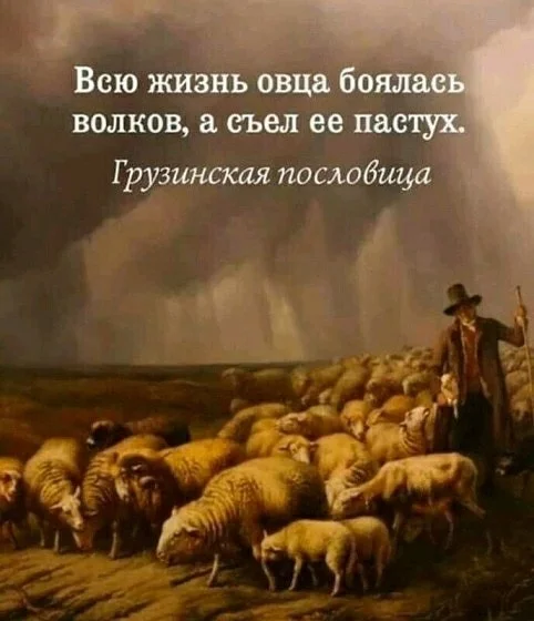 Proverb - Proverbs and sayings, Wolf, Georgia, Sheeps, Picture with text