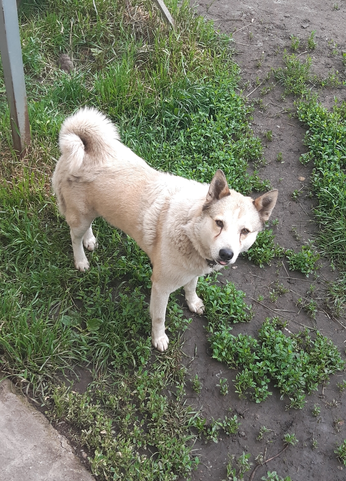 Ещё немного хороших мальчиков)