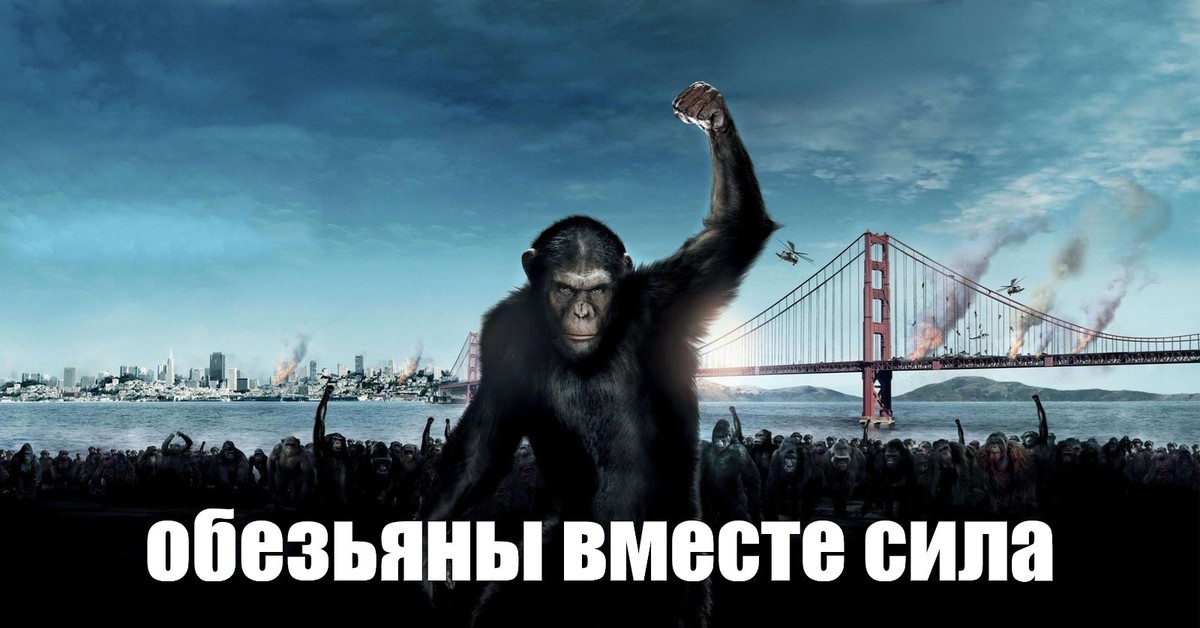 Нашествие обезьян. Восстание планеты обезьян 2011. Восстание планеты обезьян 2.